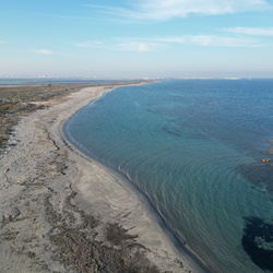San Pedro 2023